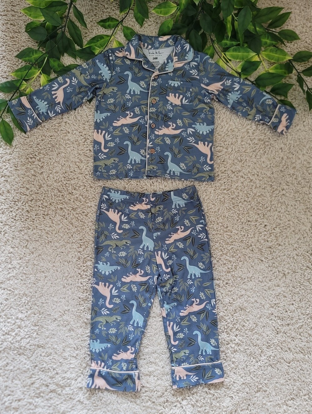 Baby Boy Dinosaur Pajamas (18-24 Months)